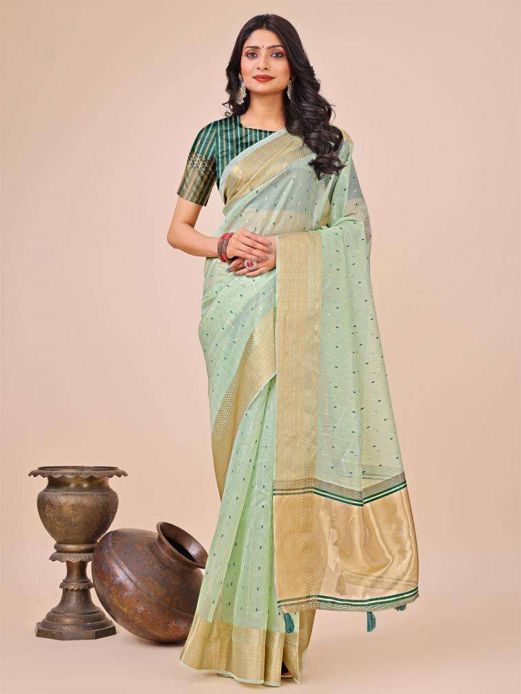 ASTITA FLORANCE ORGANZA FABRIC FANCY LOOK SAREE 