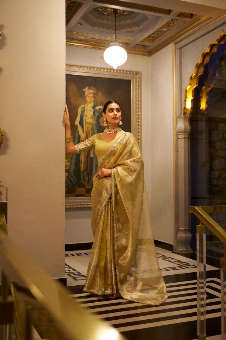 YNF 7114 RANI SA TISSUE SHIMMER BEAUTIFULLOOK SAREE 
