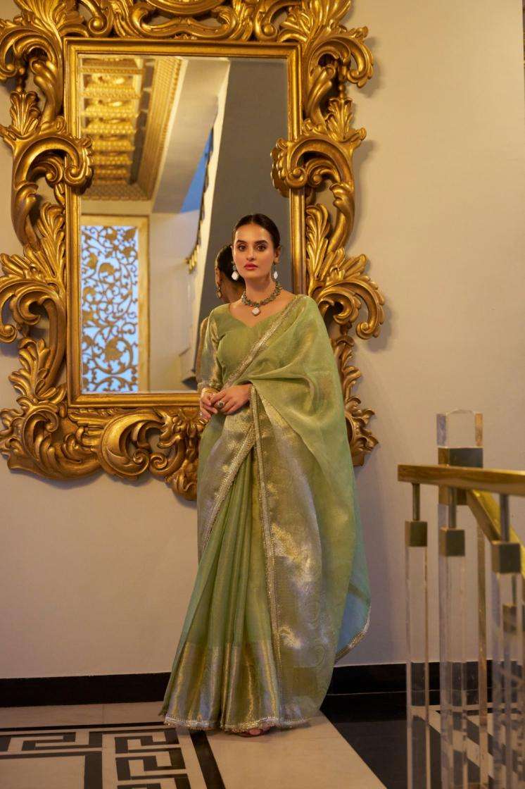 YNF 7114 RANI SA TISSUE SHIMMER BEAUTIFULLOOK SAREE 